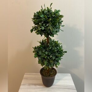 Pier 1 Imports Faux Greenery